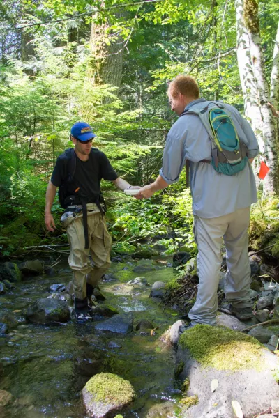Stream Ecology field work, July 2014