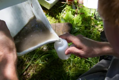 Stream Ecology field work, July 2014