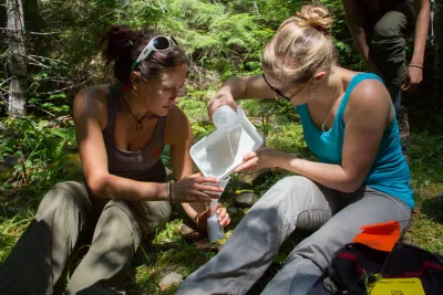 Stream Ecology field work, July 2014
