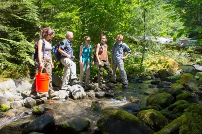 Stream Ecology field work, July 2014