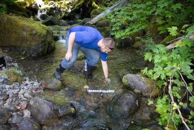 Stream Ecology field work, July 2014