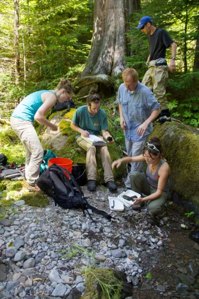 Stream Ecology field work, July 2014