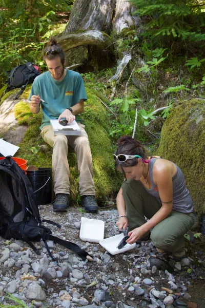 Stream Ecology field work, July 2014