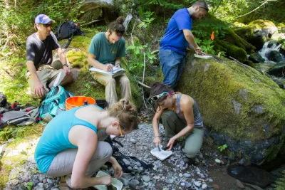 Stream Ecology field work, July 2014