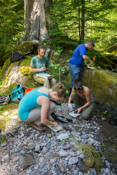Stream Ecology field work, July 2014