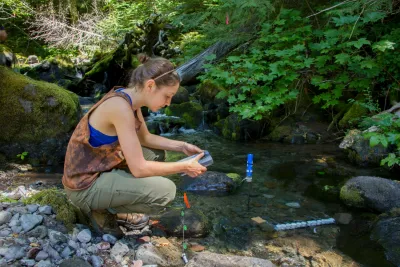 Stream Ecology field work, July 2014