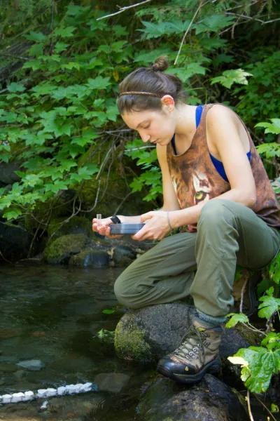 Stream Ecology field work, July 2014