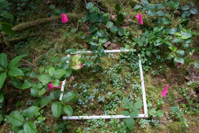 Plant Phenology field work, July 2014