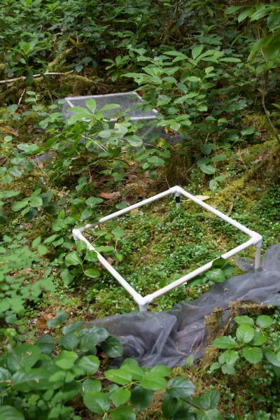 Plant Phenology field work, July 2014