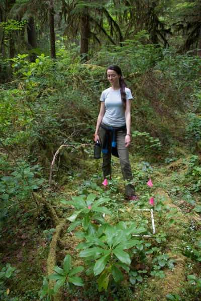 Plant Phenology field work, July 2014