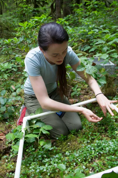 Plant Phenology field work, July 2014