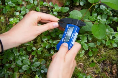 Plant Phenology field work, July 2014