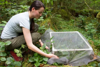 Plant Phenology field work, July 2014