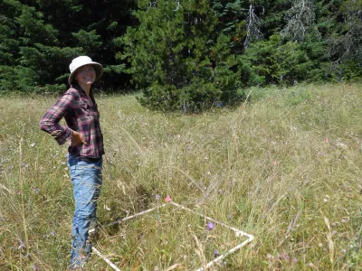 Meadow Ecology field work, July 2014
