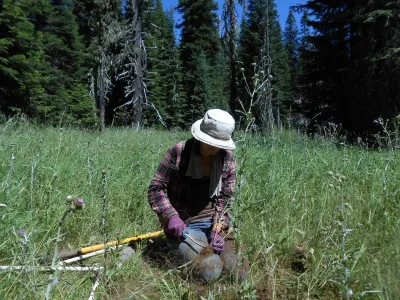Meadow Ecology field work, July 2014