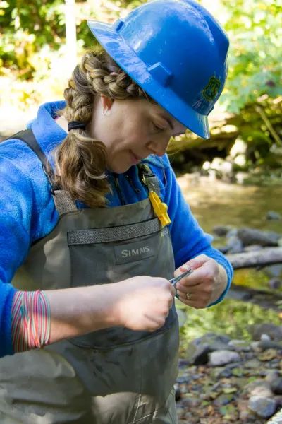 SCALER field work at the Andrews Forest