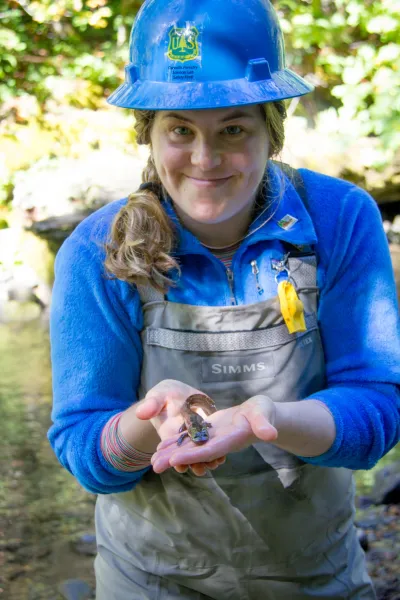SCALER field work at the Andrews Forest