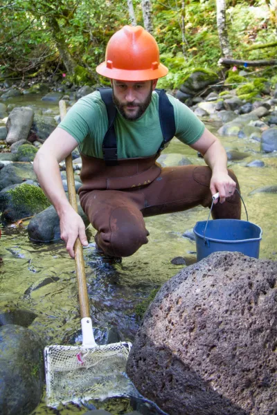 SCALER field work at the Andrews Forest