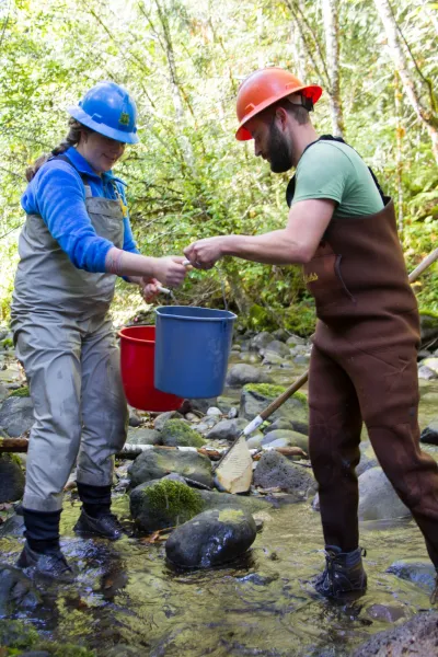 SCALER field work at the Andrews Forest