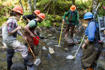 SCALER field work at the Andrews Forest