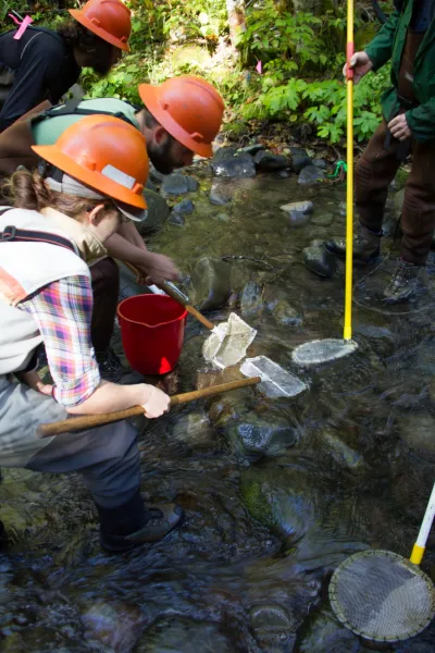SCALER field work at the Andrews Forest
