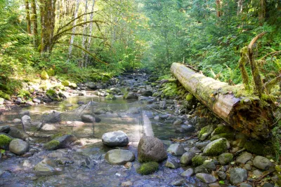 SCALER field work at the Andrews Forest