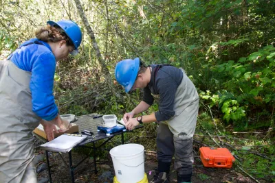 SCALER field work at the Andrews Forest