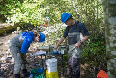 SCALER field work at the Andrews Forest
