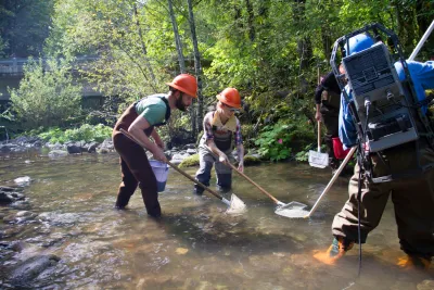 SCALER field work at the Andrews Forest