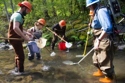 SCALER field work at the Andrews Forest