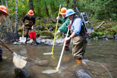 SCALER field work at the Andrews Forest