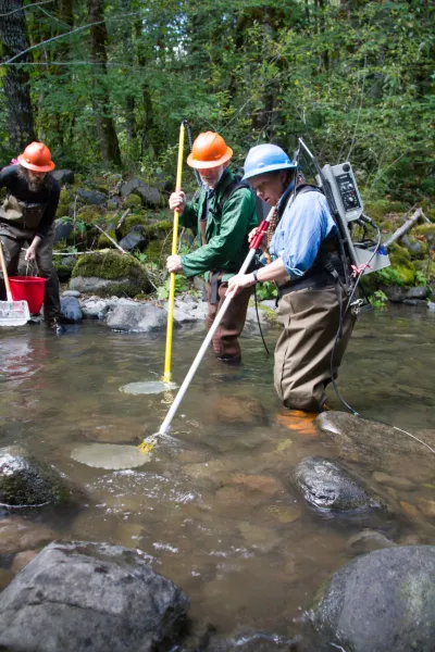 SCALER field work at the Andrews Forest