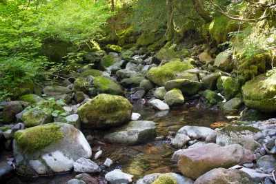 Lookout Creek in the HJ Andrews Experimental Forest