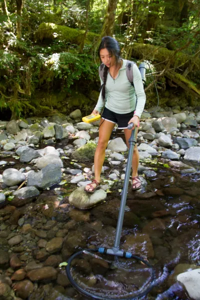 REU Sarah Ward samples for tagged salmanders