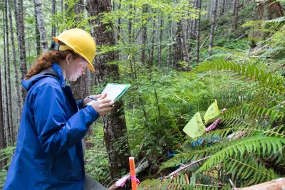 Graduate students in Watershed 1