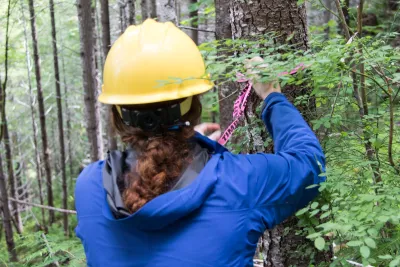 Graduate students in Watershed 1