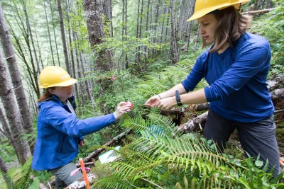 Graduate students in Watershed 1