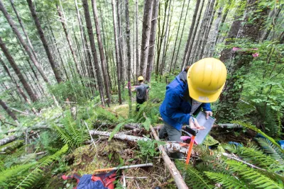 graduate students in soil moisture plots on the slope of Watershed 1