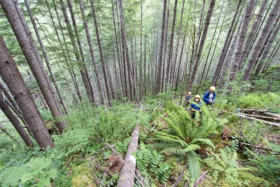 graduate students in soil moisture plots on the slope of Watershed 1