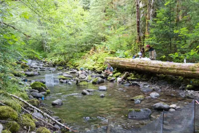 researchers in lower McRae Creek at the HJA