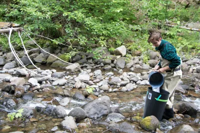 Student doing field work in McRae Creek
