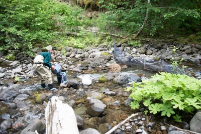 Student doing field work in McRae Creek