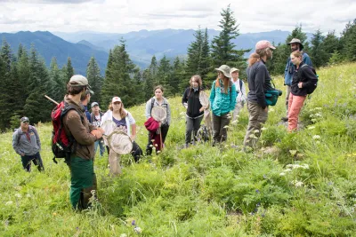 Andrews Forest field work, July 2016