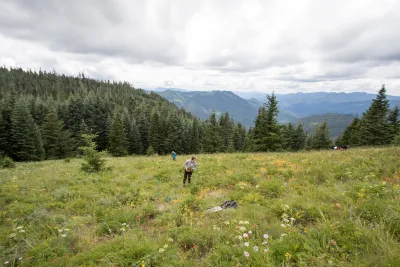 Andrews Forest field work, July 2016