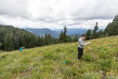 researchers in high elevation meadow