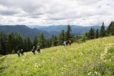 Andrews Forest field work, July 2016