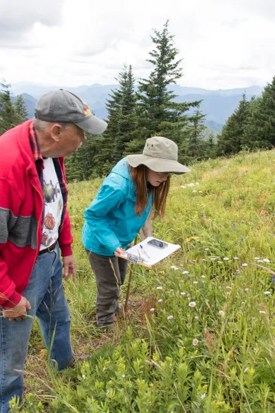 Andrews Forest field work, July 2016