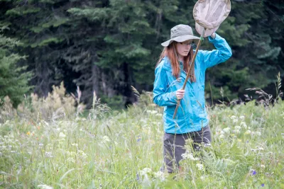 Andrews Forest field work, July 2016