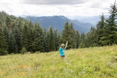 Andrews Forest field work, July 2016