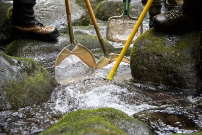 nets to catch fish and salamanders